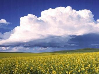 Plot of land in ibeju-lekki Lagos