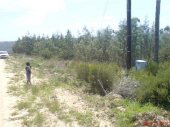Plot of land Great Brak River Great Brak River
