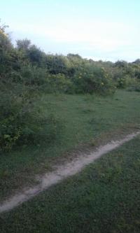 Plot of land hanbantota Hanbantota