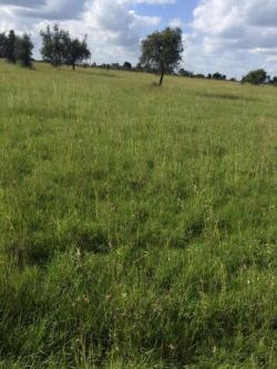 Plot of land Ongata Rongai Ongata Rongai