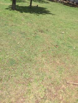 Plot of land Gatakas,Ongata Rongai Gatakas,ongata Rongai