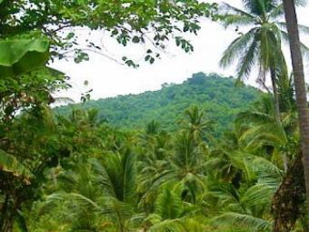 Plot of land Kandy - Pilimatalawa Kandy   Pilimatalawa