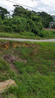 9 ACRES PENAL  OPPOSITE SCHOOL Penal Village