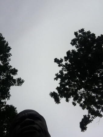 Plot of land Chikwawa Chikwawa