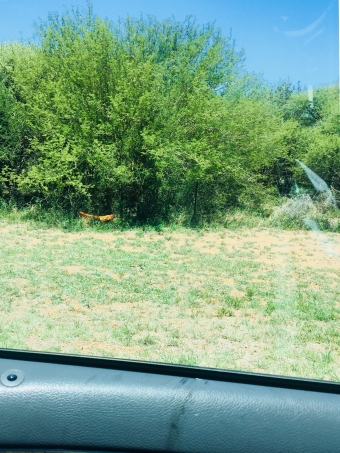 Mmamashia Industrial Plot -A1 Gaborone