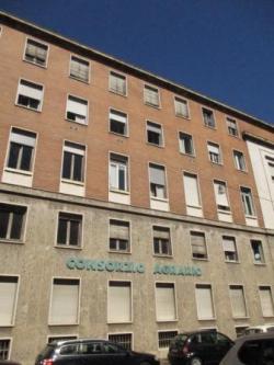 Business Vercelli Vercelli