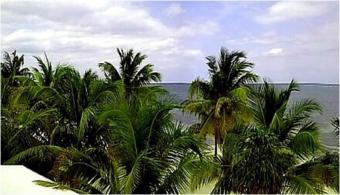 Plot of land Tulum Tulum