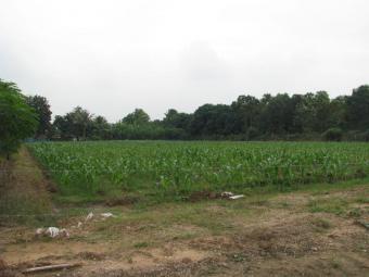 Plot of land Kanchanaburi Kanchanaburi