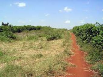 Makuyu Land for sale Makuyu