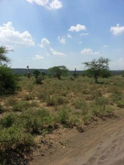 Plot of land nairobi Nairobi