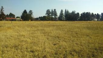 House Bapsfontein Bapsfontein