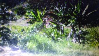 Plot of land Plymouth Road Tobago Plymouth Road Tobago