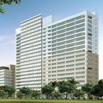 SaoPaulo 5*Hotel gives 21% rent. Sao Paulo