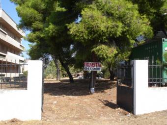 Plot of land Saronida, Attica Saronida, Attica
