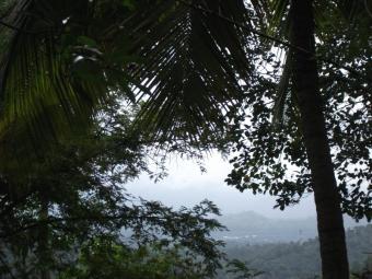 Plot of land Kandy Kandy