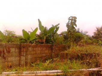 Plot of land Ejisu Jamasi, Ejisu Jamasi, Close To Accra Kumasi