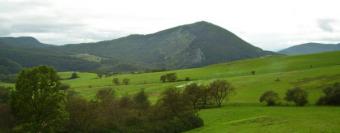 House with Vineyard 5000sqm Drienovec
