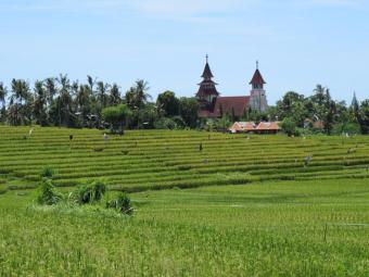 Plot of land Denpasar Denpasar