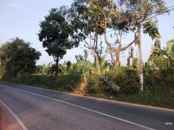 Plot of land Katunayake Katunayake