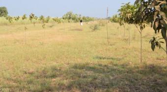 Plot of land Kandal Kandal