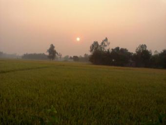 Plot of land Jaipurhat Jaipurhat