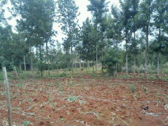 Plot of land Nairobi,ngong Nairobi,ngong
