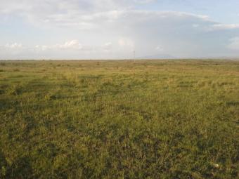 Plot of land Katani, Machakos County Katani, Machakos County