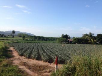 Plot of land Chonburi Chonburi