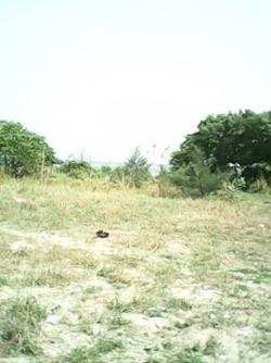 Plot of land Lekki Lekki