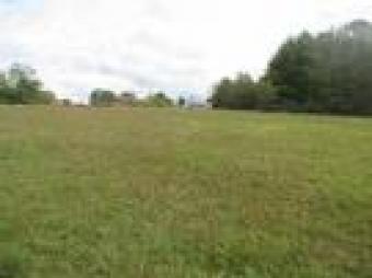 Plot of land  Uranium and  coper Buea