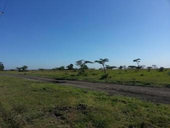 Plot of land Nairobi West Nairobi West