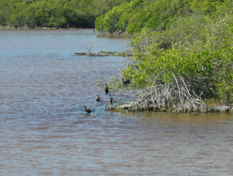 Plot of land Exuma Bahamas Exuma Bahamas