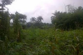 Plot of land Wasimi Alafia Wasimi Alafia
