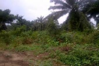 Plot of land Sangotedo Sangotedo