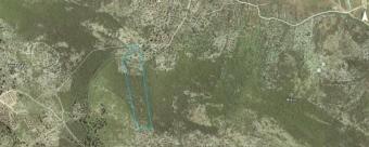 Plot of land Vela Luka Vela Luka