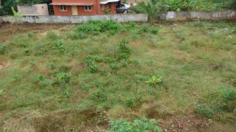 Plot of land palakkad Palakkad