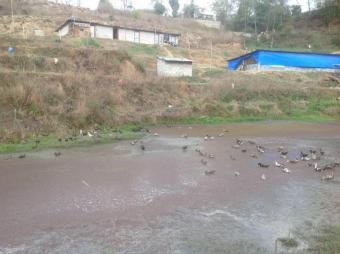 Plot of land Lalitpur Lalitpur