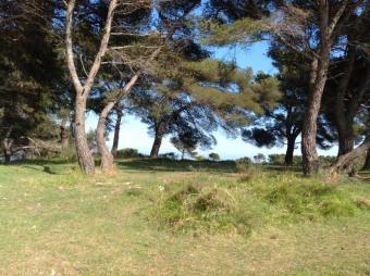 Plot of land Cipressa Cipressa