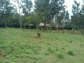 Plot of land Nairobi,ngong Nairobi,ngong