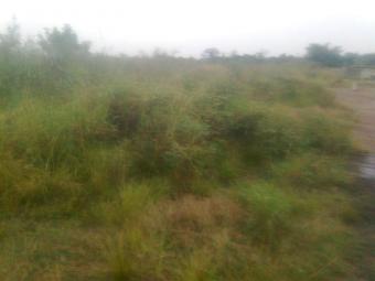 Plot of land Accra Accra