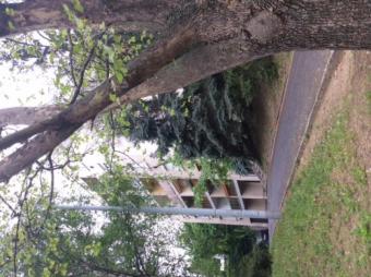 Apartment / Flat Budapest XI. ker�let Budapest Xi. Ker�let