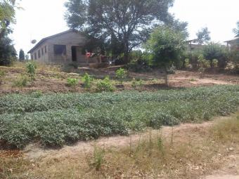 Plot of land Dar es salaam Dar Es Salaam
