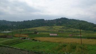 Land for sale at Sankhu Sankhu