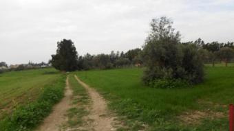 Plot of land Limassol Limassol
