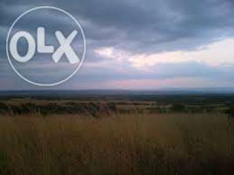 Plot of land Ruiru Ruiru