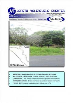 Plot of land Chiriqu� Chiriqu�