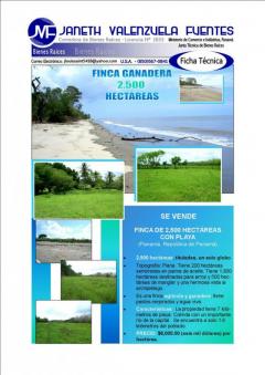 Plot of land Panama City Panama City