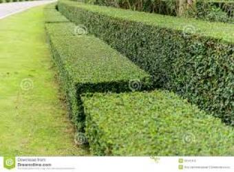 Plot of land Narok Narok