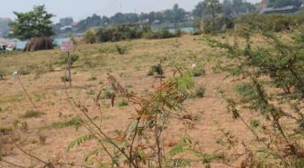 Plot of land Kandal Kandal