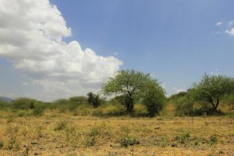 Plot of land Lotikoshi Lotikoshi